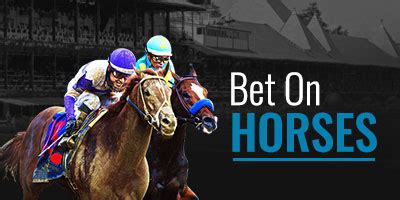 1bettorace