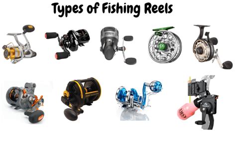 allreels