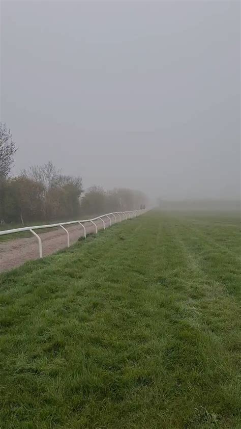 racingtelf